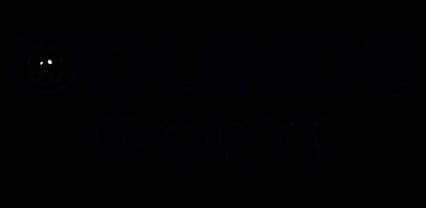 Odunde Sports logo